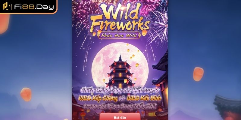 Thông tin tổng quan về Pháo hoa Wild
